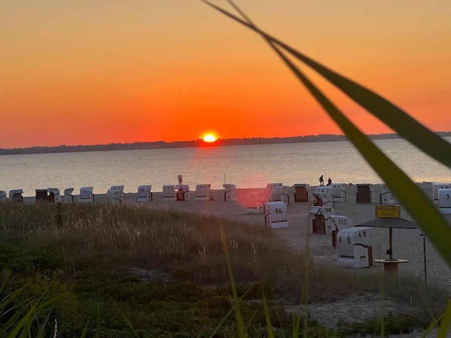 Neue Ferienwohnung Kuestennaehe Mit Terrasse 3Km Zum Strand Osdorf Exteriör bild