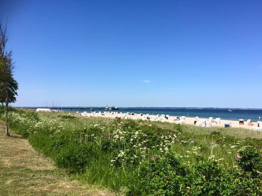 Neue Ferienwohnung Kuestennaehe Mit Terrasse 3Km Zum Strand Osdorf Exteriör bild